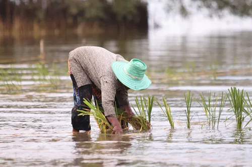 Government sets up flood and drought committees for five regions as a super El Niño approaches