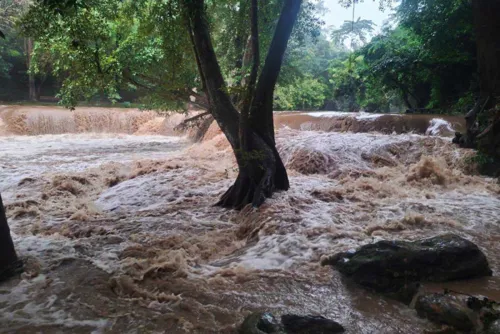 Heavy rain warning across upper Thailand through tomorrow: flash-flood risk in the North, Central Plains, Northeast and East