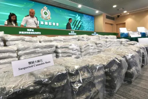 Hong Kong seizes record HK$125m cannabis container shipped from Thailand