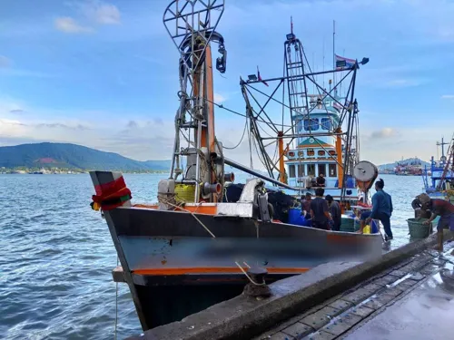 US Section 301 tariff puts Thai shrimp at a price disadvantage as Thai tuna holds up