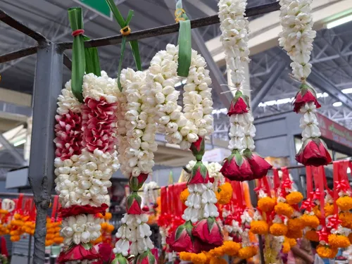 Jasmine prices in Phuket jump to 1,400–1,500 baht/kg ahead of Mother's Day as supply runs short