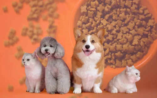 Thai pet food sells well in Taiwan, the top importer, so pet-product makers should look at export leads