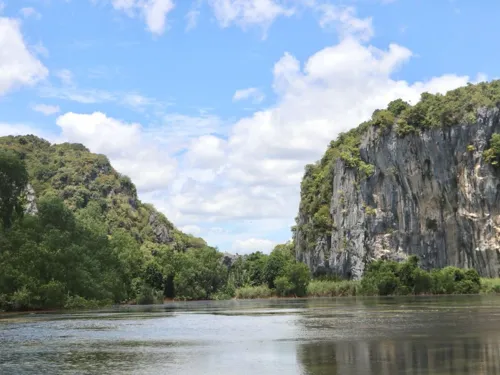 Phatthalung swiftlet nest concession gets no bids at 500m baht as Indonesian imports push prices down