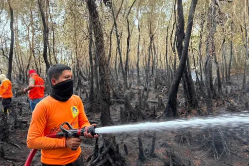 Peat swamp fire burns 300 rai in Nakhon Si Thammarat, smoke may reach nearby villages