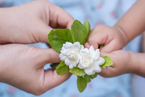 Mother's Day 2026 spending seen up only 0.7%, with shoppers cutting trips and gifts