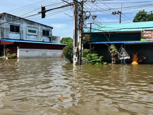 Prachinburi flooding worse than 2011, at least 300 million baht in damage, durian orchards hit hardest