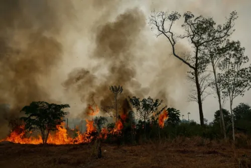 El Nino peaks in December: plan for drought, power cuts and higher food costs
