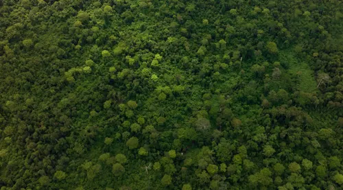 Cabinet approves 7.2bn baht Khlong Wang Tanot dam in Chanthaburi, but conservation groups are fighting it
