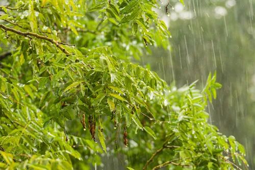 Heavy rain and flash-flood risk across central Thailand and Bangkok today and tomorrow, with small boats advised to stay ashore