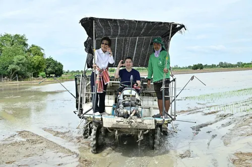Dept of Rice launches low-carbon rice pilot in Suphan Buri, with buyers lined up from farm gate