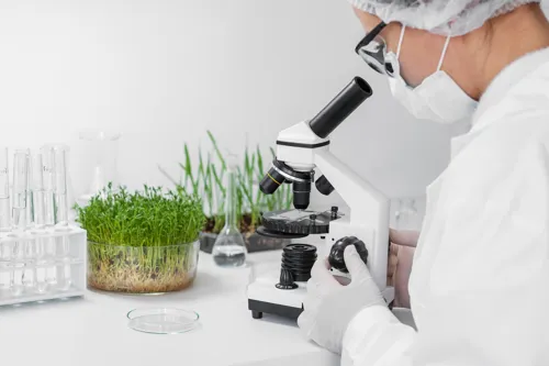 Thai-EU FTA talks on plant variety protection could raise seed costs for farmers and food processors