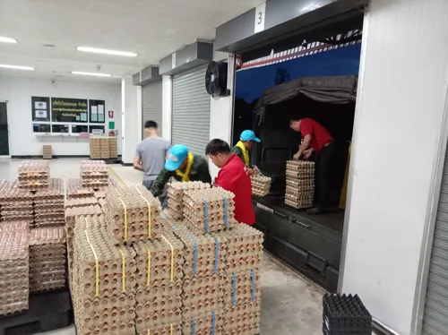 Sa Kaeo floods disrupt deliveries; Commerce Dept arranges army trucks to restock 2,000 trays of eggs