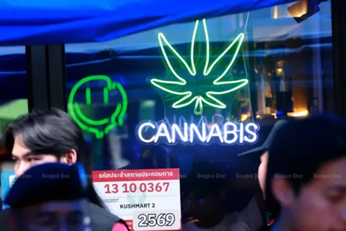 Cannabis shops face tighter inspections nationwide as health ministry tightens enforcement