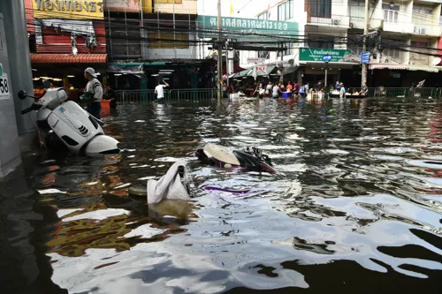 Bangkok flood relief applications open 2 Oct with higher caps: repair, livelihood and medical payouts