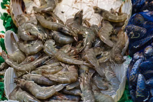 Shrimp farmers oppose easing import checks on Ecuador shrimp, warning of disease and lower domestic prices