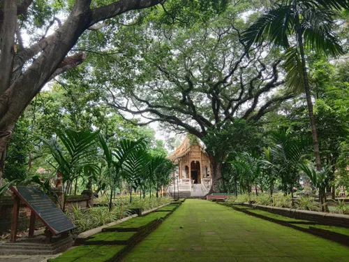 Chiang Mai's UNESCO bid faces ICOMOS inspection on 3–8 August 2026, with a decision next year
