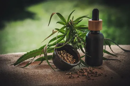 Cabinet approves cannabis control bill: cannabis shops must become licensed medical clinics with a doctor on staff when permits expire