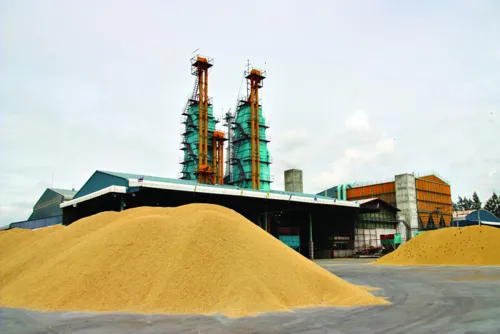Rice exporters eye El Niño-driven price rise, but H1 2026 shipments fell 18%