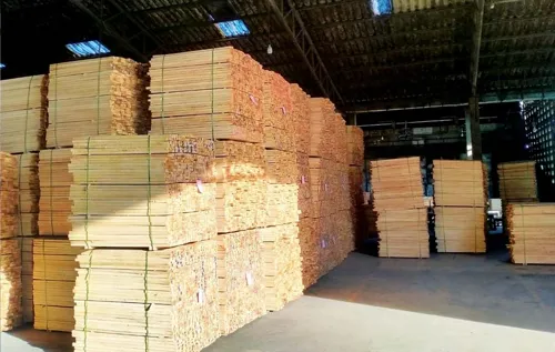 Rubber wood supply tightens in the south as prices rise and some mills plan to relocate