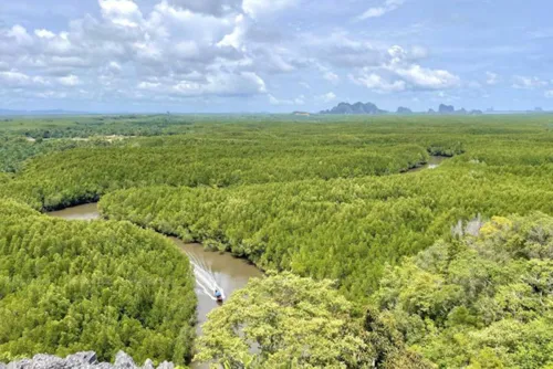 Forest land rules to widen, opening six new uses for renewable energy and telecoms