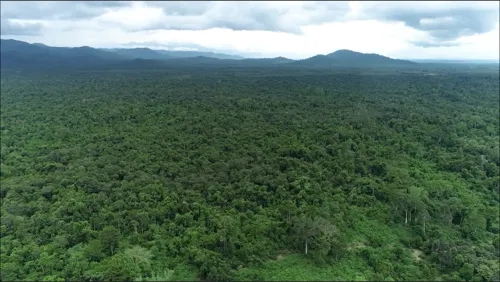 Cabinet approves 7.2 billion baht Khlong Wang Tanot dam, but environmental groups say forest loss is unaddressed