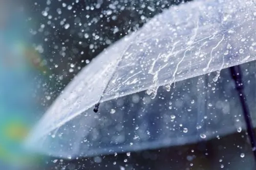 Heavy rain of 40-60% coverage hits most regions today (15 Oct), flash flood and landslide risk near hills and waterways