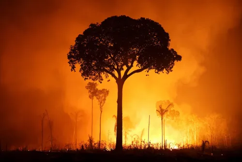 Scientists say warming is speeding up, and COP31 talks start 9 November
