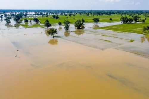 Floods hit farmland in 43 provinces, with 1.66 million rai damaged, mostly rice