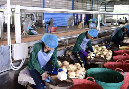 Central bank's SME Credit Boost and Secured Plus schemes ease loan access for small firms