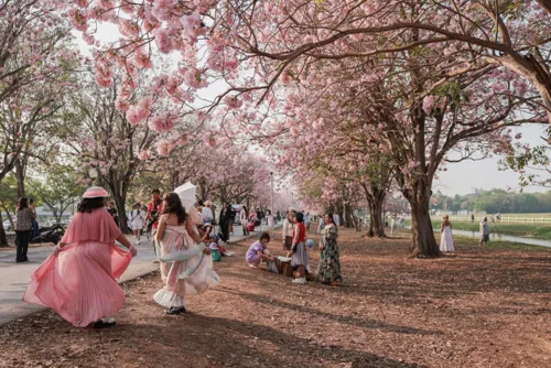 Tourism ministry seeks 2.45bn baht budget request