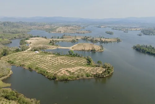 Trat clears 600 rai of illegal durian orchards on reservoir land