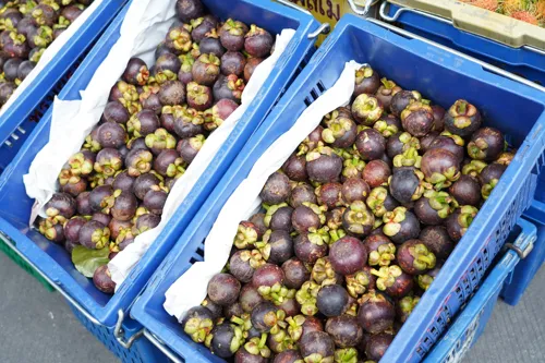 Southern mangosteen glut of 75% pushes Commerce to open auctions and Modern Trade outlets this month