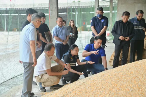 Commerce Dept inspects corn buying points in 22 provinces through December, checking moisture meters, scales and prices