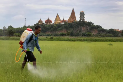 Court upholds ban on paraquat and chlorpyrifos, but firms get disposal costs back from the Department of Agriculture