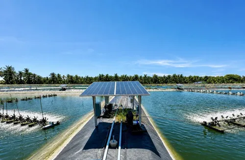 Shrimp farmers can get 50% off solar and motor upgrades, up to 50,000 baht, applications close 16 October